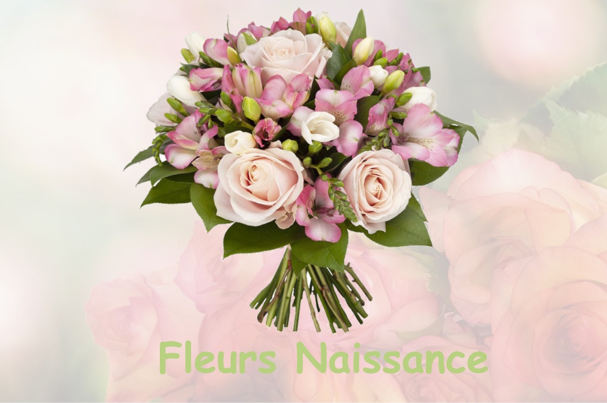 fleurs naissance DIGOSVILLE