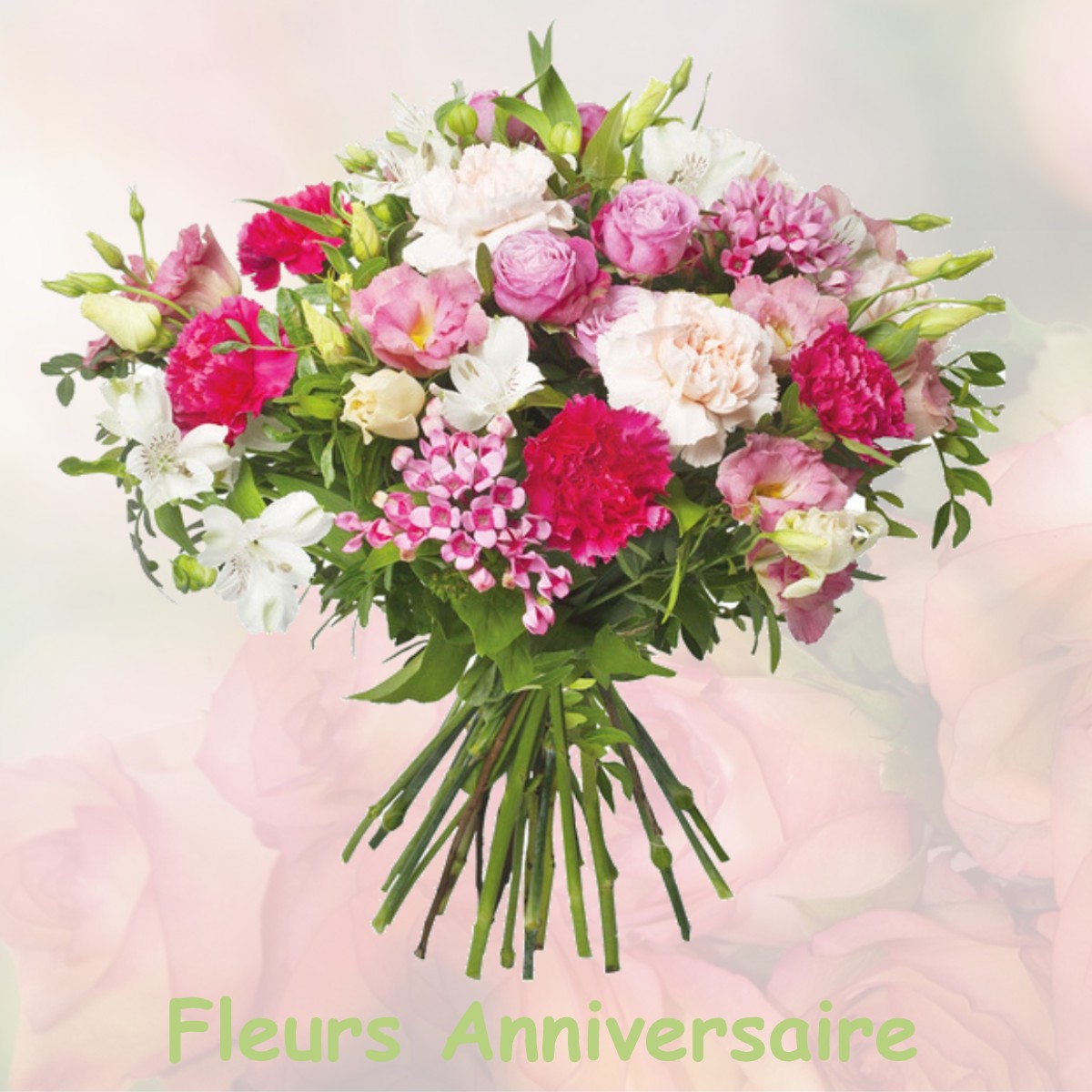 fleurs anniversaire DIGOSVILLE