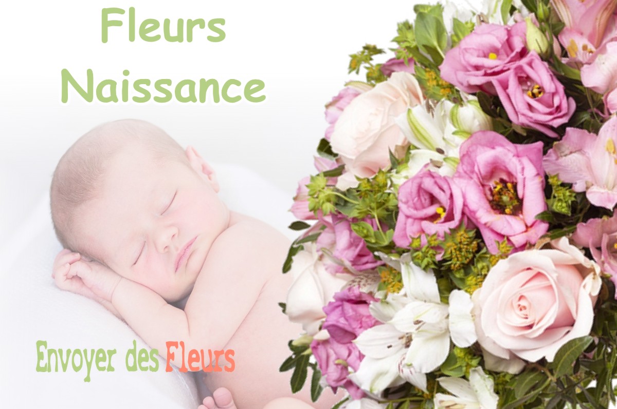 lIVRAISON FLEURS NAISSANCE à DIGOSVILLE